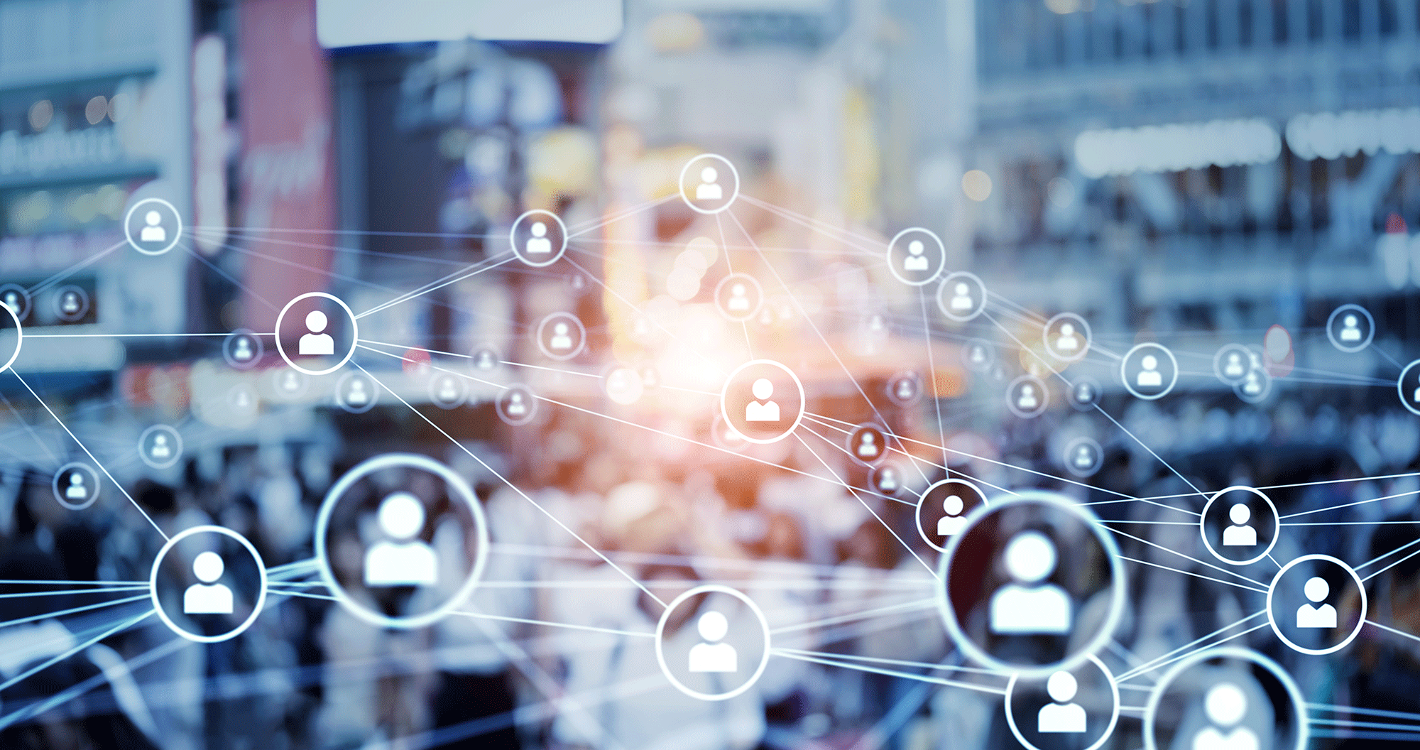 @Stock INRAE @Stock INRAE